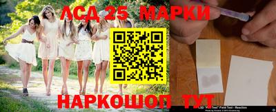 гидропоника Новокубанск