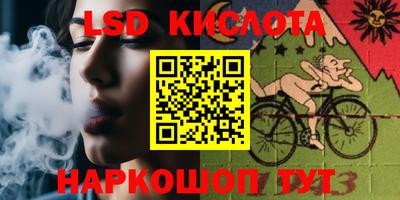 альфа пвп Новодвинск