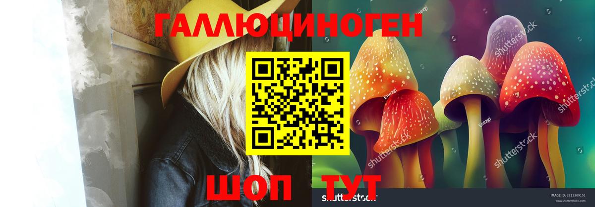 Псилоцибиновые грибы Psilocybe  Вход с VPN  Торжок 